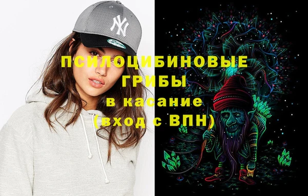 бутират Алексеевка