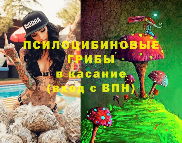 тгк Алзамай