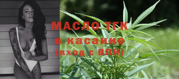 тгк Алзамай